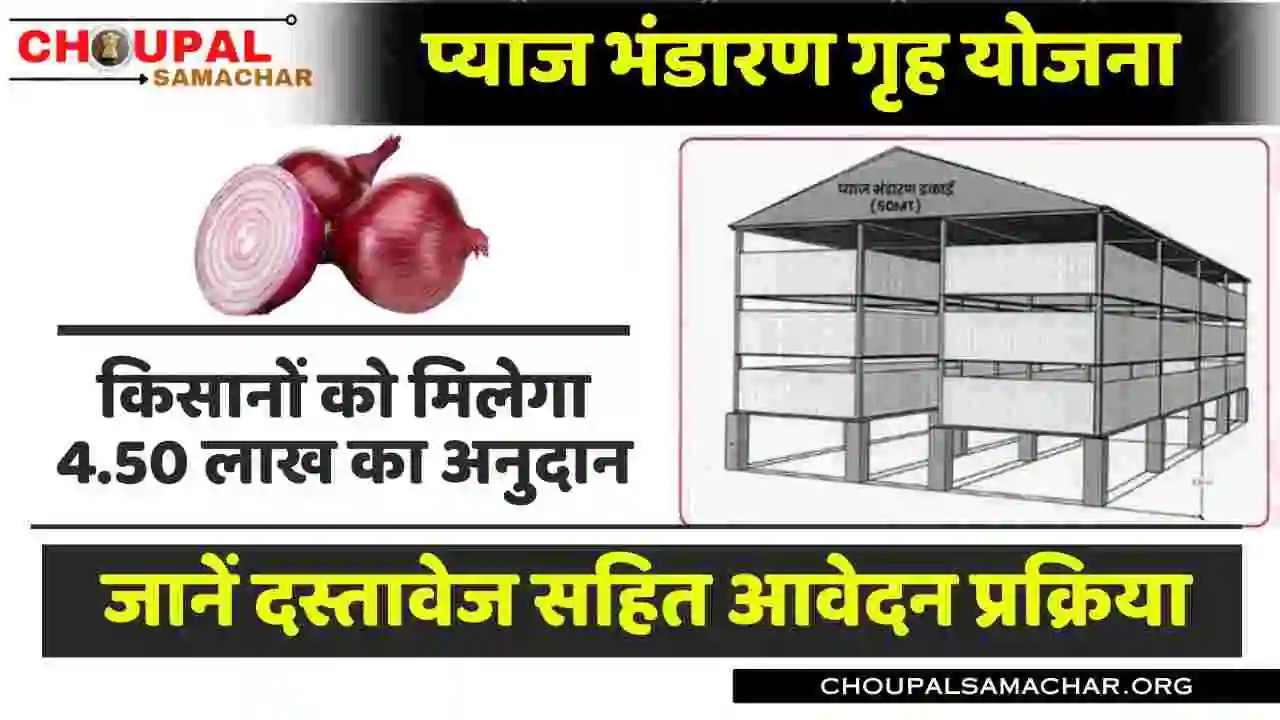 Subsidy on Onion Storage