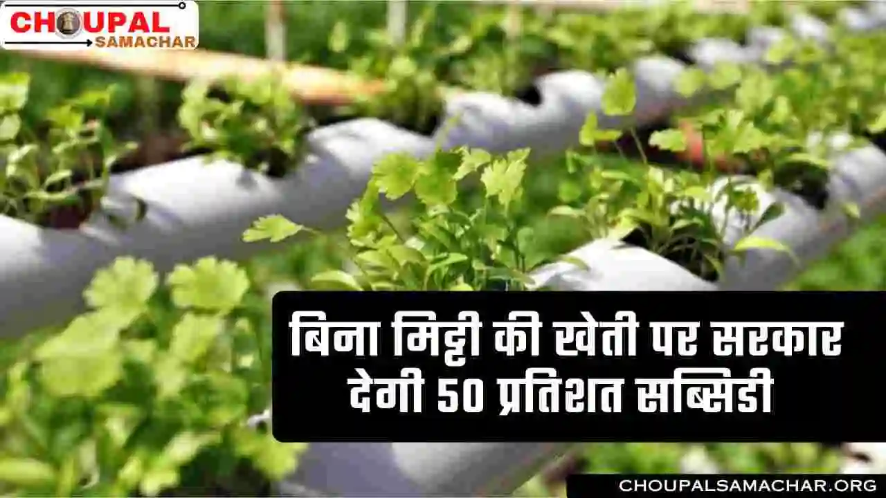 Hydroponic Farming Subsidy