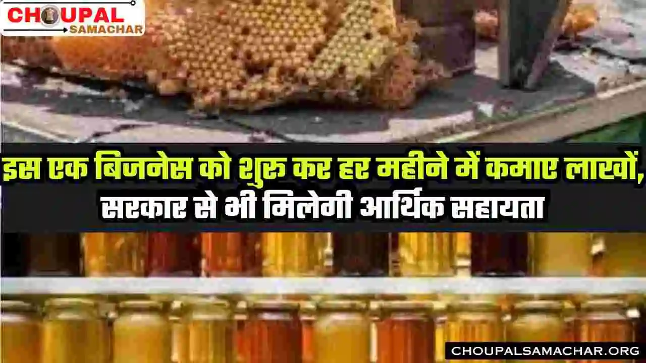 Honey Business Ideas