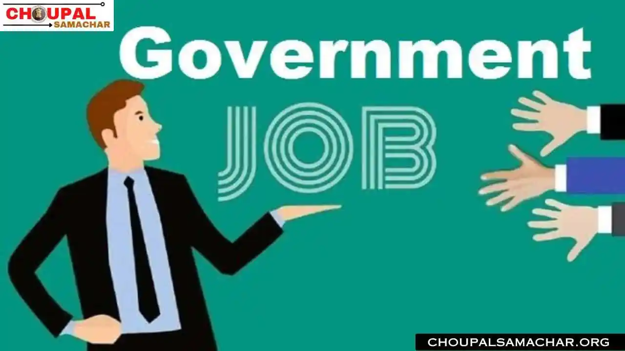 Government Job