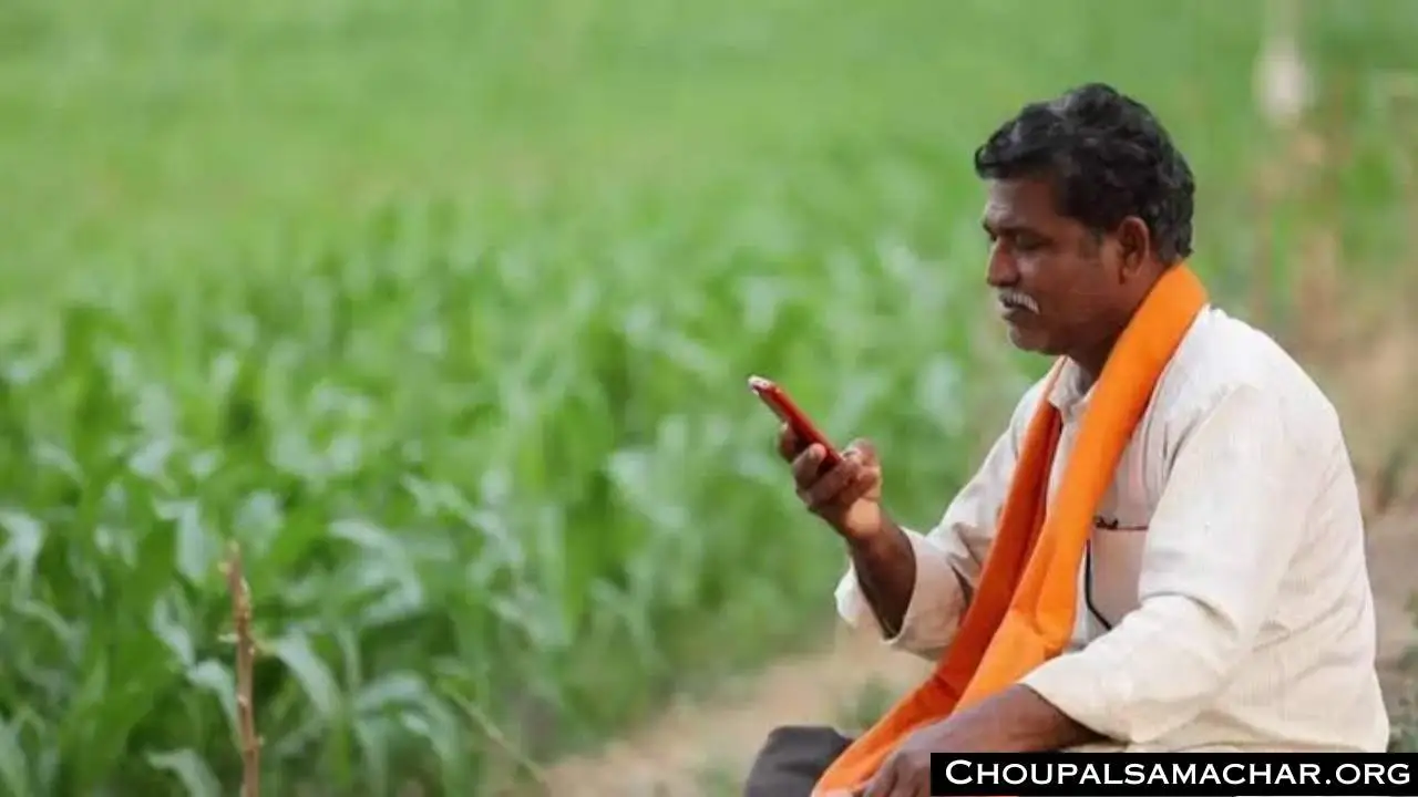 Crop Subsidy Scheme