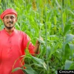 Crop Subsidy Scheme