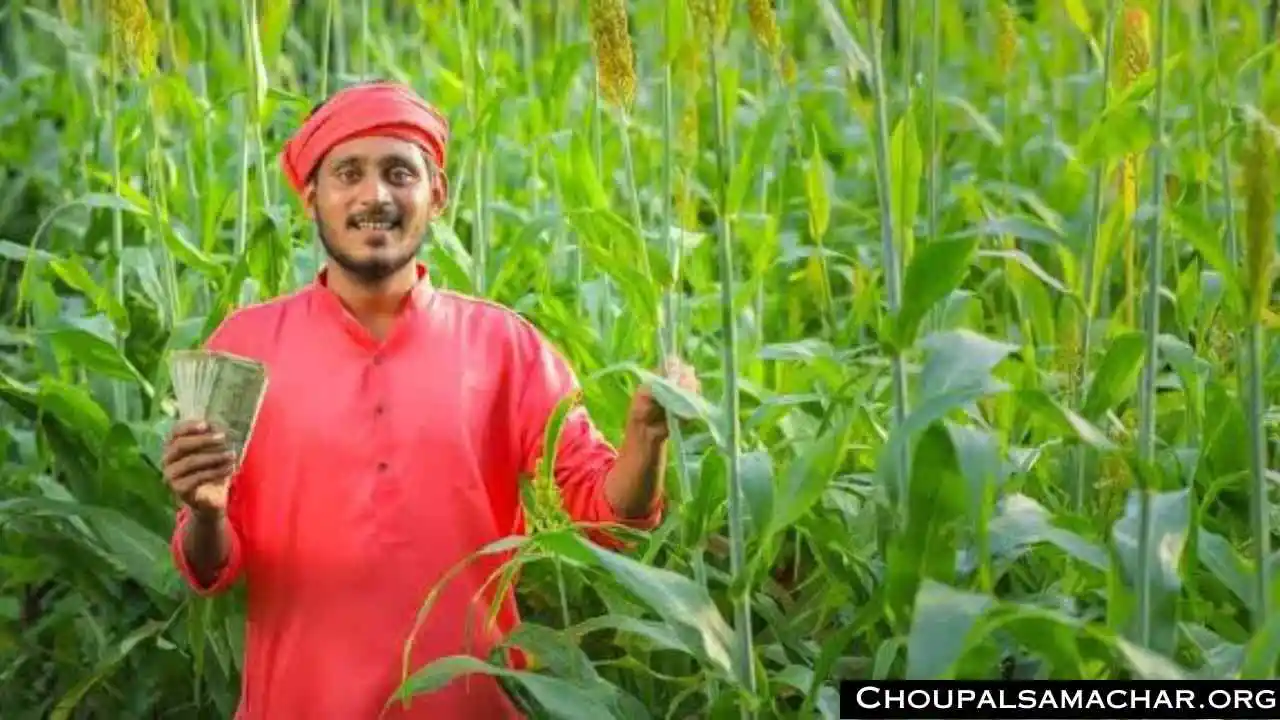 Crop Subsidy Scheme