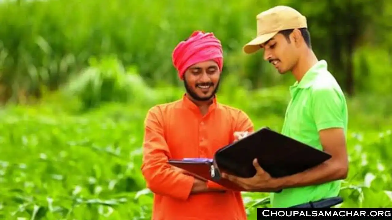 Agriculture Job