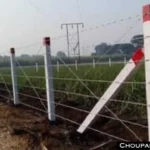 Wire Fencing Subsidy