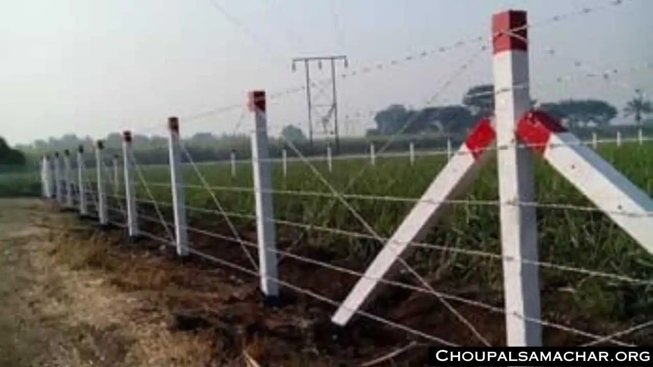 Wire Fencing Subsidy
