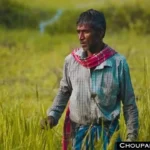 Threshing floor Subsidy