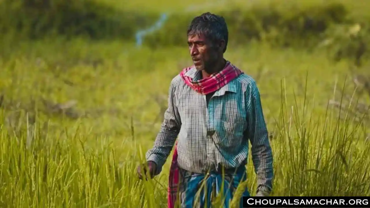 Threshing floor Subsidy